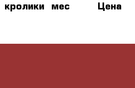 кролики 4мес 1000 › Цена ­ 1 000 - Кемеровская обл. Животные и растения » Другие животные   